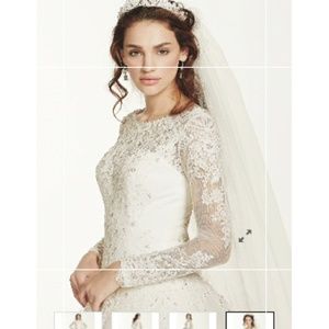 Jewel long sleeve drop-waist tulle wedding dress